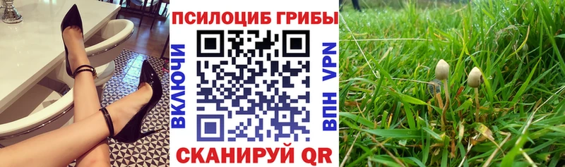 Псилоцибиновые грибы Cubensis  Купить где  Ахтырский 